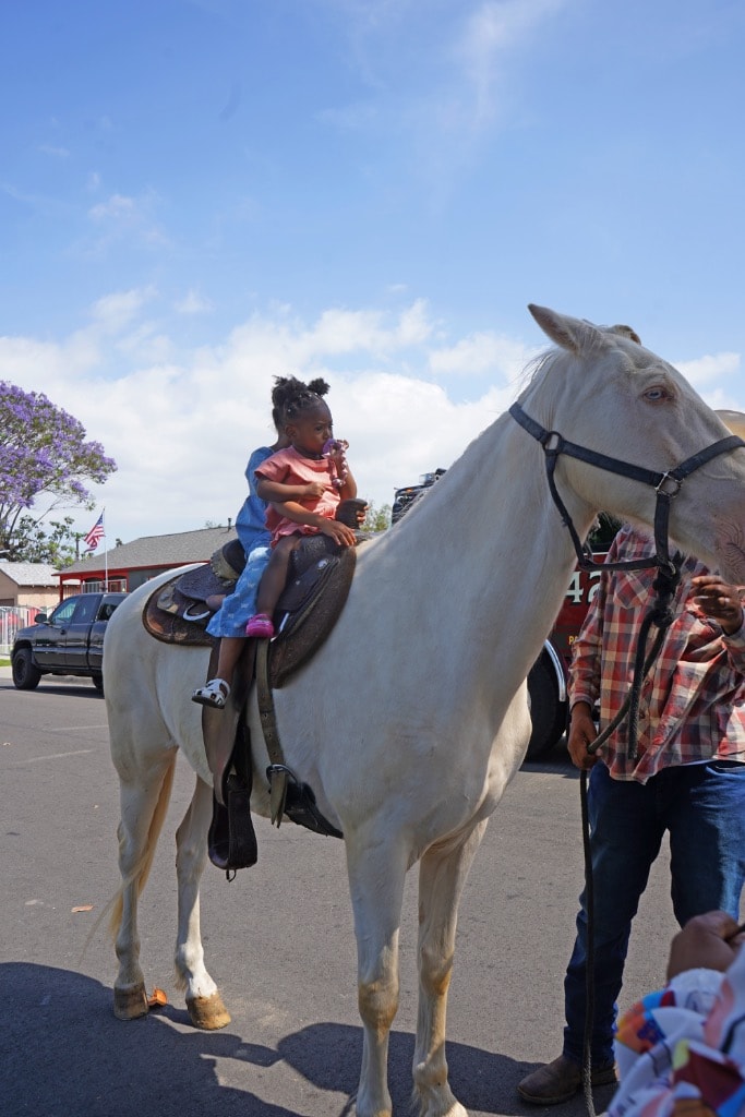 Young toddler girl riding a white horse at a DSE community event